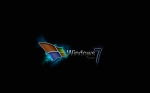 Windows 7 (7)